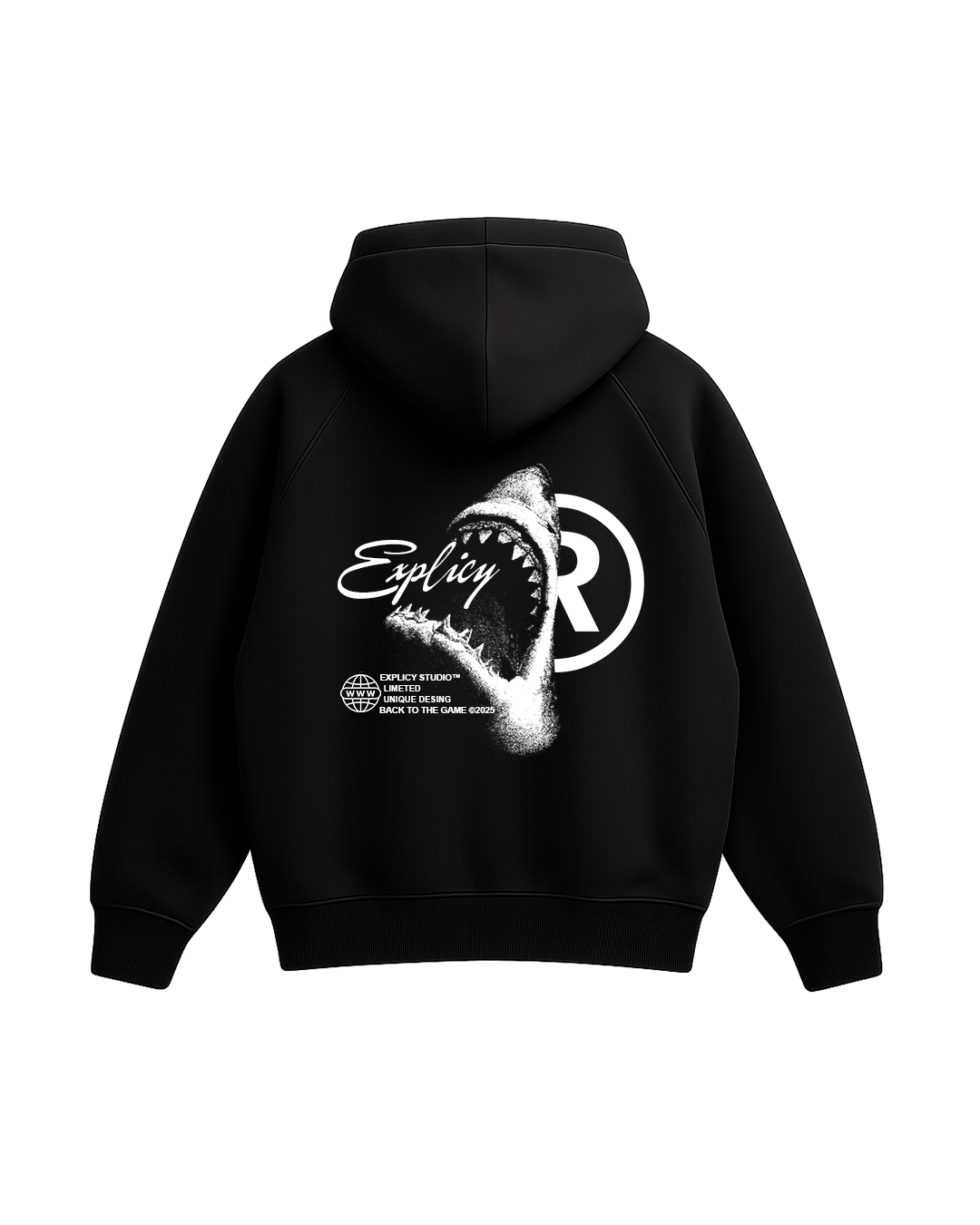 HOODIE RAGLAN "SHARK" BOXY